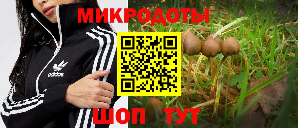 Ачхой-Мартан  Псилоцибиновые грибы прущие грибы  Галлюциногенные грибы прущие грибы  Вход с VPN 