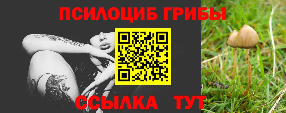 Галлюциногенные грибы мицелий Ачхой-Мартан