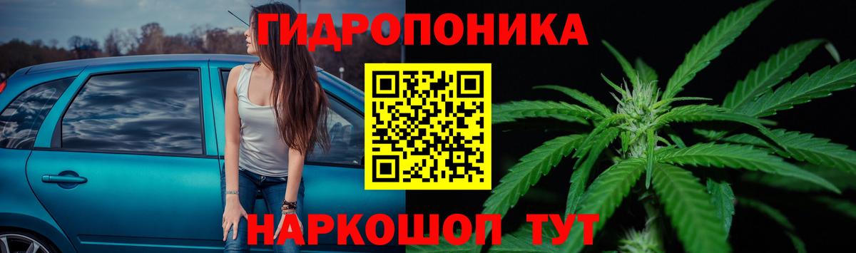 Каннабис ГИДРОПОН Ачхой-Мартан